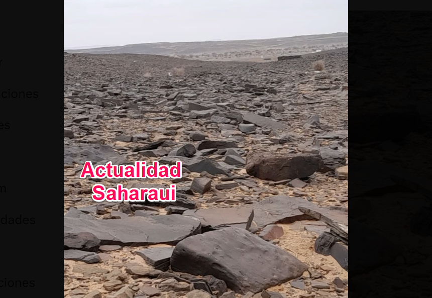 Noticias del SAHARA OCCIDENTAL – 1/9/2024 – La Actualidad Saharaui