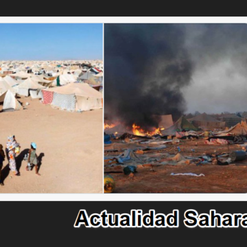 Noticias del SAHARA OCCIDENTAL – 11/10/2024 – La Actualidad Saharaui