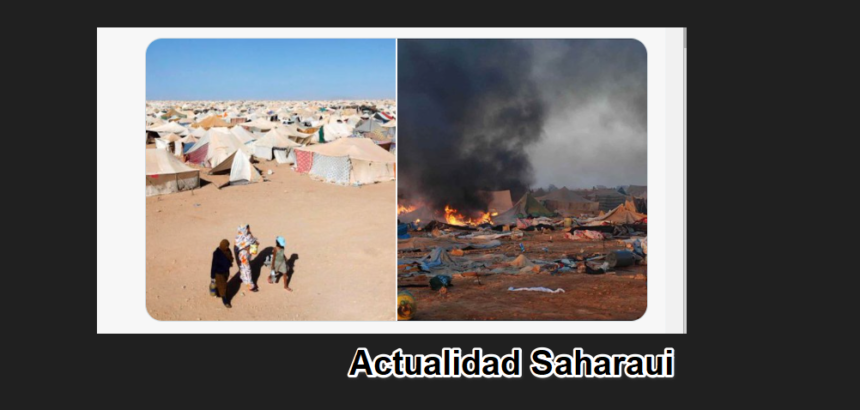 Noticias del SAHARA OCCIDENTAL – 11/10/2024 – La Actualidad Saharaui