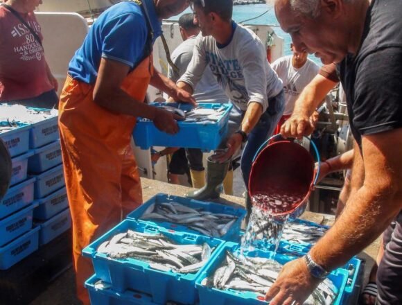 EL PUEBLO SAHARAUI ACABA DE HACER HISTORIA | La justicia europea confirma la anulación del acuerdo pesquero de Marruecos y la UE por vulnerar los derechos del Sáhara