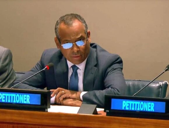 1000280032 Representante del F. POLISARIO en la ONU: “El pueblo saharaui seguirá luchando con todos los medios hasta ejercer su derechos a la autodeterminación y la independencia” | Sahara Press Service (SPS)
