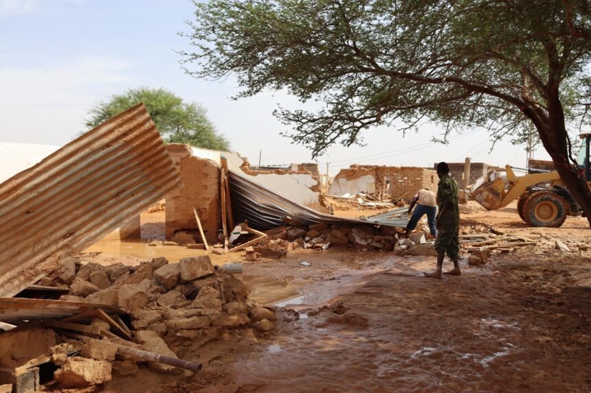 Sáhara Occidental | Hambrunas e inundaciones: la crisis humanitaria que asola los campamentos saharauis – El Salto