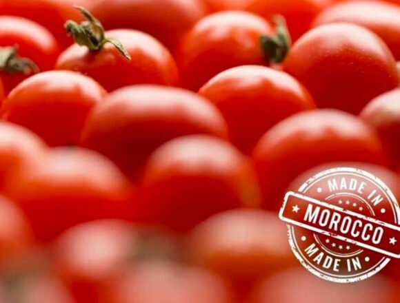 alimentos-procedentes-del-Sahara-Occidental-UNION-UNIONES-FRENTE-POLISARIO-1080x675 Piden que la sentencia de la Justicia Europea se ejecute ya y se identifiquen correctamente los alimentos procedentes del Sáhara Occidental – Agroinformacion