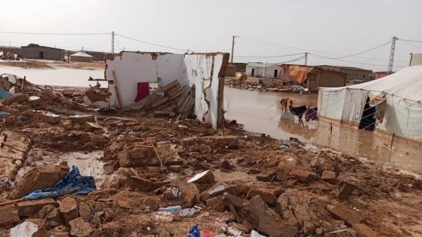 REFUGIADOS SAHARAUIS | Inundaciones que arrasan cada diez años. ATTsF lanza un SOS de ayuda – Noticias de Navarra