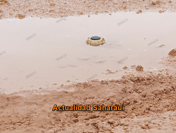 cdfrghbnmjk,l.- Noticias del SAHARA OCCIDENTAL – 3/10/2024 – La Actualidad Saharaui