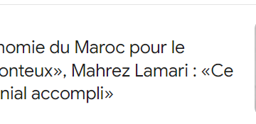 Qualifiant le plan d’autonomie du Maroc pour le Sahara occidental de «honteux», Mahrez Lamari : «Ce plan relève d’un fait colonial accompli» – Actualité : EL Moudjahid