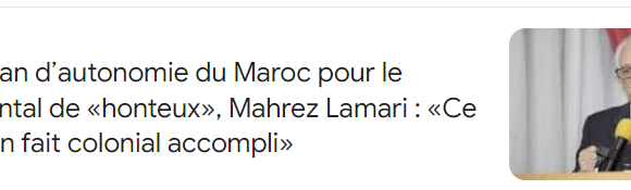 edrftgyhujk Qualifiant le plan d’autonomie du Maroc pour le Sahara occidental de «honteux», Mahrez Lamari : «Ce plan relève d’un fait colonial accompli» – Actualité : EL Moudjahid