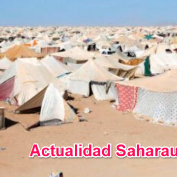 Noticias del SAHARA OCCIDENTAL – 12/10/2024 – La Actualidad Saharaui