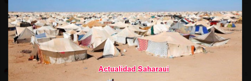 Noticias del SAHARA OCCIDENTAL – 12/10/2024 – La Actualidad Saharaui