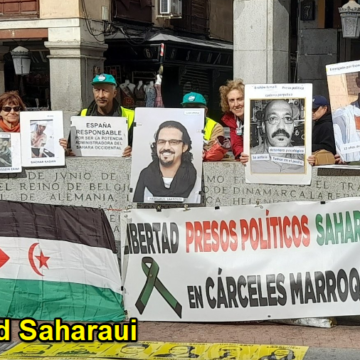 Noticias del SAHARA OCCIDENTAL – 29/10/2024 – La Actualidad Saharaui