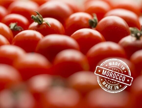 tomate-Marruecos Los tomates y melones del Sáhara Occidental deben citar ese origen, según el TJUE – Infobae