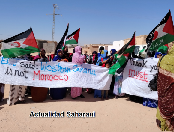 Noticias del SAHARA OCCIDENTAL – 8/10/2024 – La Actualidad Saharaui