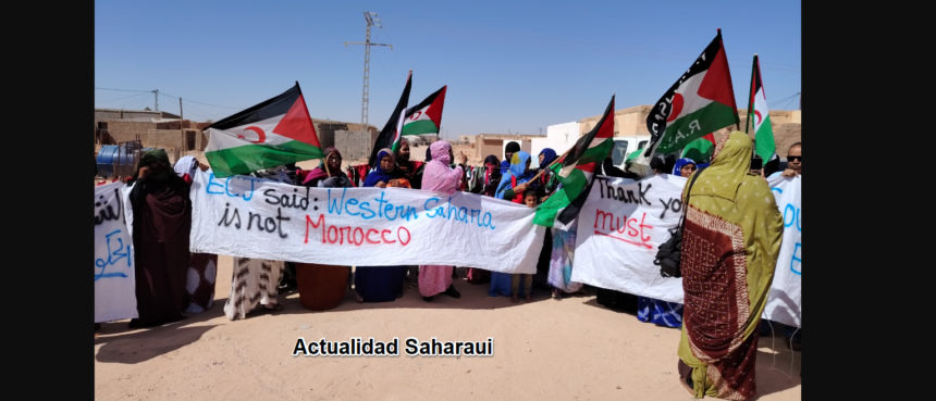 Noticias del SAHARA OCCIDENTAL – 8/10/2024 – La Actualidad Saharaui