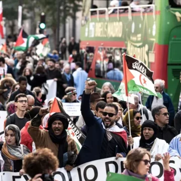 El movimiento de apoyo al Sáhara Occidental pide al PSOE en su Congreso «volver a sus principios» sobre el conflicto | Público