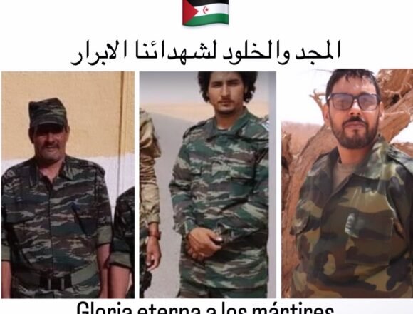 Ejército de ocupación marroquí asesina combatientes saharauis utilizando un dron