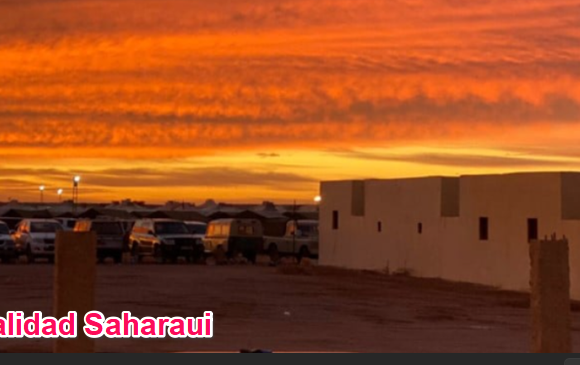 Noticias del SAHARA OCCIDENTAL – 15/11/2024 – La Actualidad Saharaui