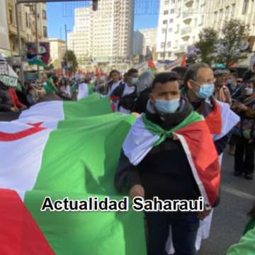 Noticias del SAHARA OCCIDENTAL – 16/11/2024 – La Actualidad Saharaui