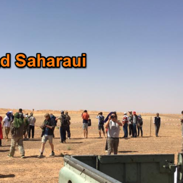 Noticias del SAHARA OCCIDENTAL – 12/11/2024 – La Actualidad Saharaui