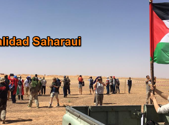 cfv vgb bhygfds Noticias del SAHARA OCCIDENTAL – 12/11/2024 – La Actualidad Saharaui