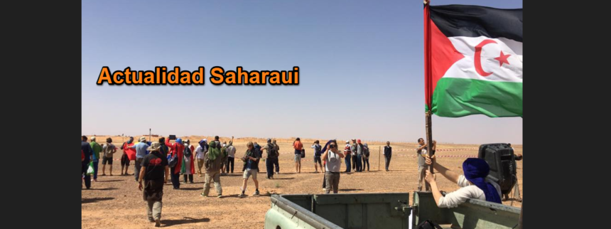 Noticias del SAHARA OCCIDENTAL – 12/11/2024 – La Actualidad Saharaui