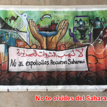 Noticias del SAHARA OCCIDENTAL – 21/11/2024 – La Actualidad Saharaui