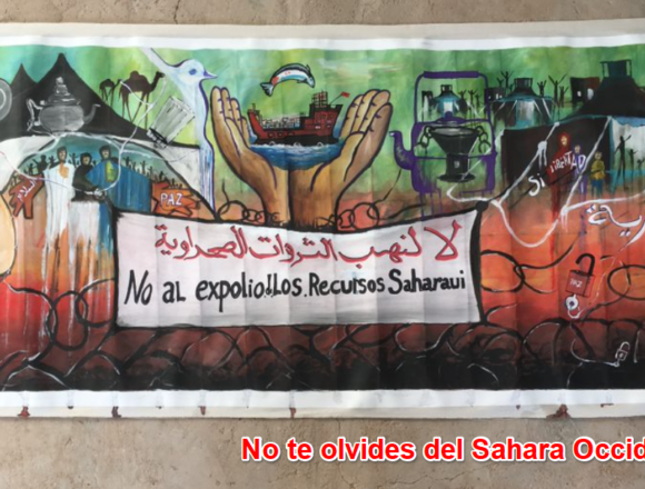 Noticias del SAHARA OCCIDENTAL – 21/11/2024 – La Actualidad Saharaui