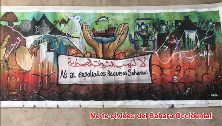 Noticias del SAHARA OCCIDENTAL – 21/11/2024 – La Actualidad Saharaui