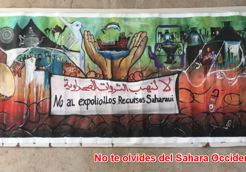 Noticias del SAHARA OCCIDENTAL – 21/11/2024 – La Actualidad Saharaui