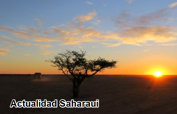 Noticias del SAHARA OCCIDENTAL – 20/11/2024 – La Actualidad Saharaui