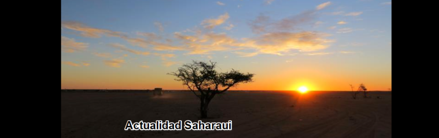 Noticias del SAHARA OCCIDENTAL – 20/11/2024 – La Actualidad Saharaui