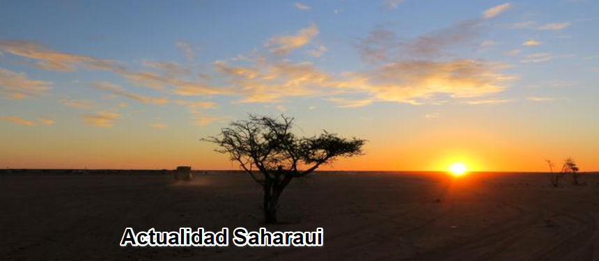 Noticias del SAHARA OCCIDENTAL – 20/11/2024 – La Actualidad Saharaui