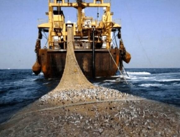 sahara_occidental-pillage_des_ressources Sahara occidental : un rapport de la Commission européenne révèle «l’énorme quantité de richesses» pillées | Radio Algérienne