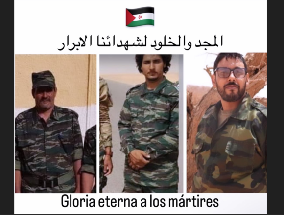 Noticias del SAHARA OCCIDENTAL – 10/11/2024 – La Actualidad Saharaui