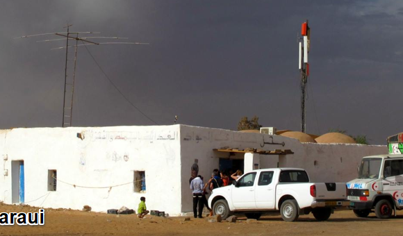 Noticias del SAHARA OCCIDENTAL – 11/11/2024 – La Actualidad Saharaui