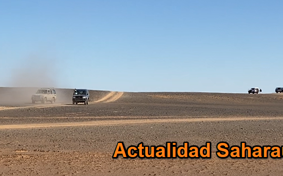 Noticias del SAHARA OCCIDENTAL – 13/11/2024 – La Actualidad Saharaui