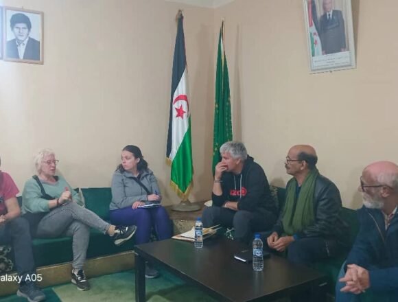 Minister of Public Health receives delegation from Basque region | Sahara Press Service (SPS)