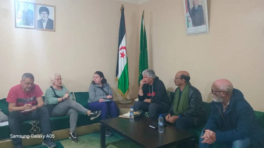 Minister of Public Health receives delegation from Basque region | Sahara Press Service (SPS)