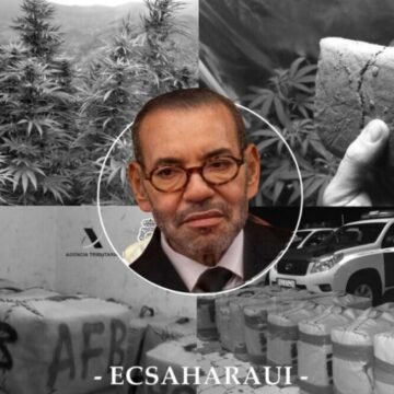 La exportación silenciosa de hachís marroquí y el riesgo de una Europa secuestrada – ECSAHARAUI