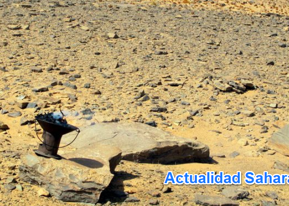 Noticias del SAHARA OCCIDENTAL – 21/12/2024 – La Actualidad Saharaui