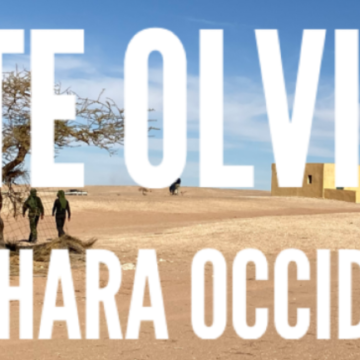 Noticias del SAHARA OCCIDENTAL – 29/12/2024 – La Actualidad Saharaui