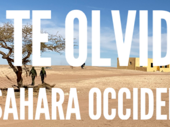 Noticias del SAHARA OCCIDENTAL – 29/12/2024 – La Actualidad Saharaui