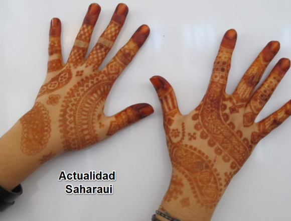 Noticias del SAHARA OCCIDENTAL – 12/12/2024 – La Actualidad Saharaui