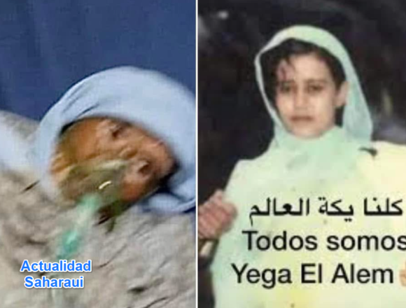 Noticias del SAHARA OCCIDENTAL – 22/12/2024 – La Actualidad Saharaui