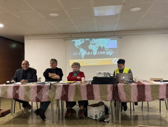 Solidaridad con la causa saharaui en Francia: Asamblea General de AARASD