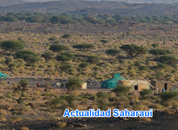 swdefrghjkm,. Noticias del SAHARA OCCIDENTAL – 31/1/2025 – La Actualidad Saharaui