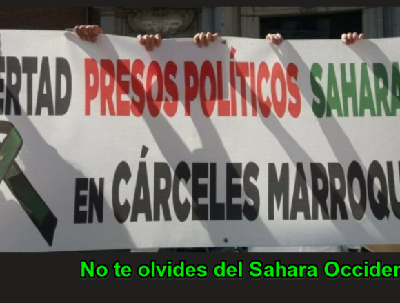 Noticias del SAHARA OCCIDENTAL – 24/1/2025 – La Actualidad Saharaui