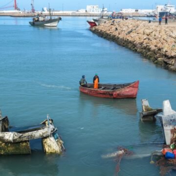 Varapalo de la UE a Marruecos: el servicio jurídico pide que se cumplan las sentencias que declaran ilegales los acuerdos con Rabat