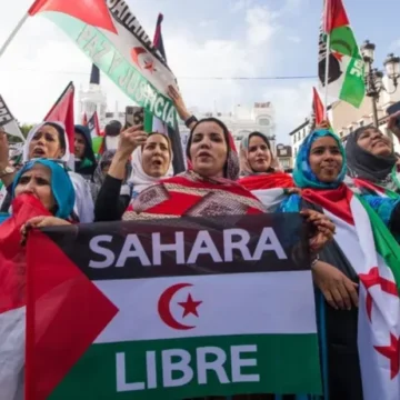 El Polisario denuncia la expulsión “arbitraria” de tres eurodiputados del Sahara Occidental por parte de Marruecos | ECSAHARAUI