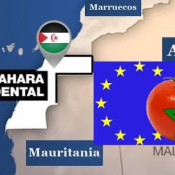 Sáhara Occidental: “Europa cancela los acuerdos con Marruecos sobre el Sáhara Occidental… y clasifica los productos saharauis con una identidad propia”