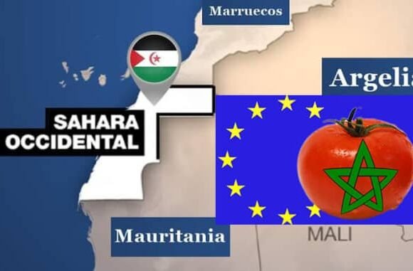 Sáhara Occidental: “Europa cancela los acuerdos con Marruecos sobre el Sáhara Occidental… y clasifica los productos saharauis con una identidad propia”